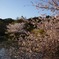 花鳥風月