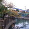 横十間川親水公園