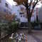 公園（清洲橋通り - 横十間川近く）