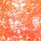 PB271221
