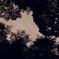 PB271251
