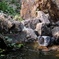 SDIM0786