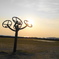 夕暮れの公園