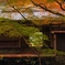 鰐淵の紅葉Ⅱ