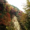 養老渓谷（紅葉）No.2