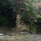 粟又の滝　上流部