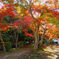 画像 023_conew1