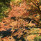 画像 091_conew1
