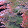 南禅寺