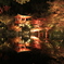 醍醐寺　