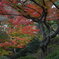 新潟　村松公園