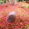 金福寺008