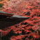 勝林院
