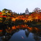 2011紅葉　-5-