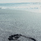 step