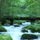 東北