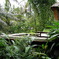 jungle resort