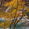 IMGP2860