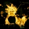 Do you wanna get burned?