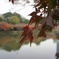 都内で紅葉を