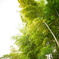 DSC00035
