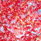 東福寺で紅葉狩り