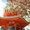 大原野