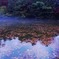靄がかれり晩秋