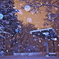 雪ふる森のステージ