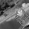 my ADIDAS
