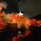 紅葉に燃える塔