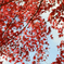 201112Autumn