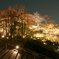 夜桜