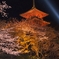 清水寺ライトアップ2
