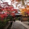 平林寺の紅葉