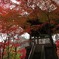 平林寺の紅葉６