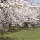 photo_153045