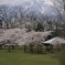 photo_153049