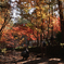 DSC_2206RAW
