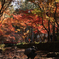 DSC_2209RAW