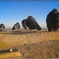 Empire State Pigeons
