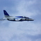 入間航空際ーブルーインパルス