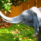 PB2718691　elephant