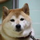 じーっ。
