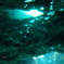 ちゅら海水族館にて