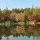 日本庭園