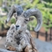 2009-04-19_0006