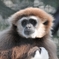 2009-04-19_0019