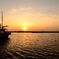 Sunset harbor