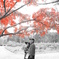 紅色の木と夫婦